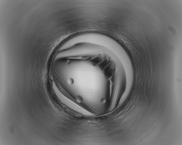 X0000113010540200909241354