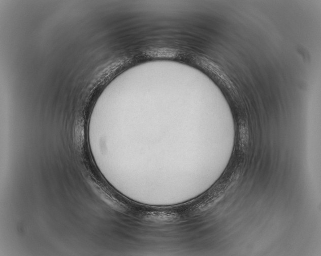 X0000113010541200909241354