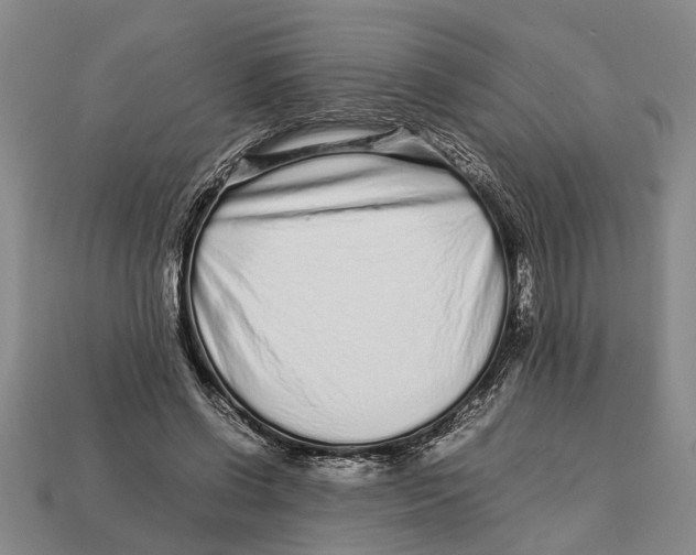 X0000113010542200909241354