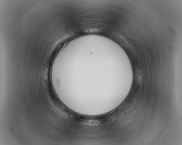 X0000113010543200909241354