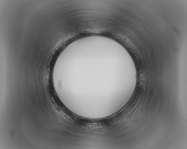 X0000113010544200909241354