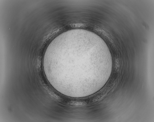X0000113010545200909241354