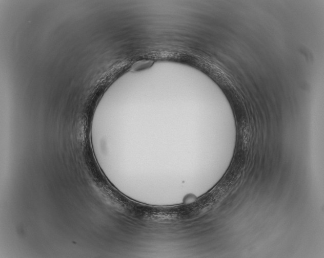 X0000113010546200909241354