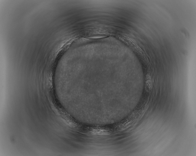X0000113010547200909241354