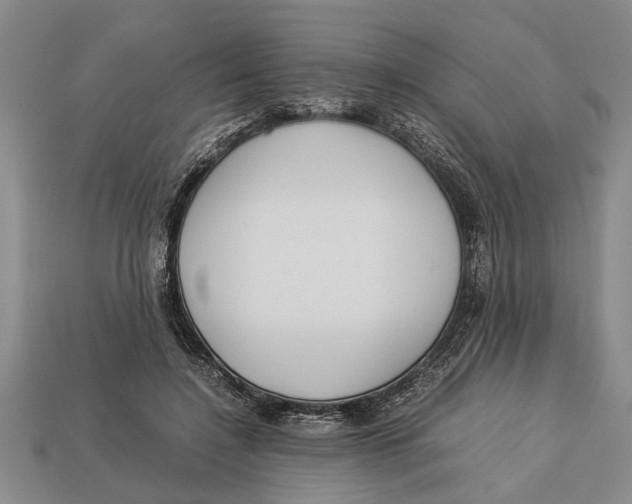 X0000113010548200909241354
