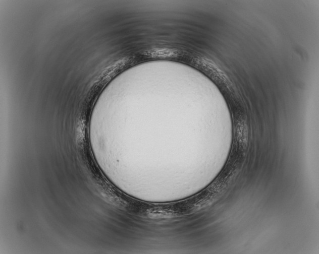 X0000113010549200909241354