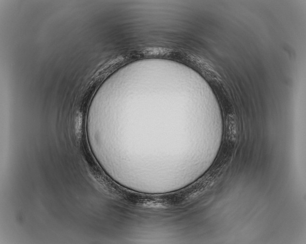 X0000113010550200909241354