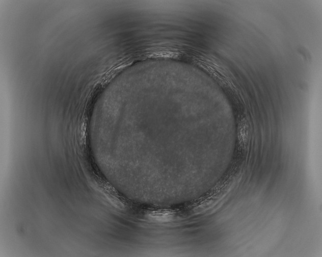 X0000113010551200909241354
