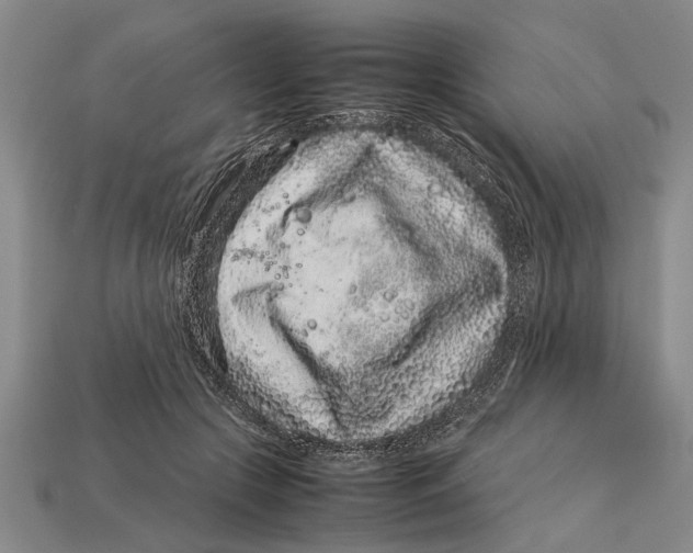 X0000113010553200909241354