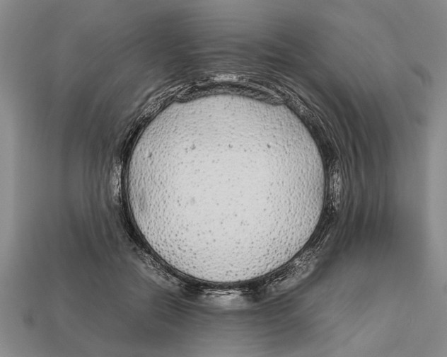 X0000113010554200909241354