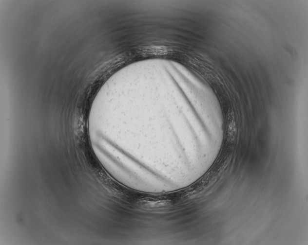 X0000113010555200909241354