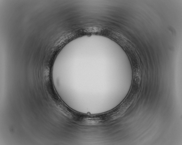 X0000113010556200909241354