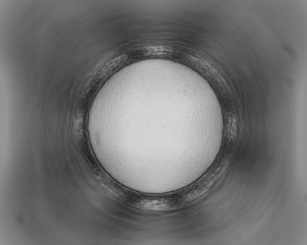 X0000113010557200909241354