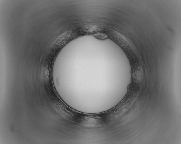 X0000113010558200909241354