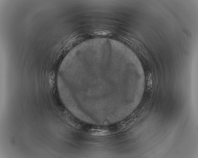 X0000113010559200909241354