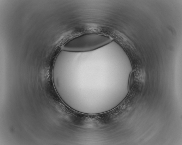 X0000113010560200909241354