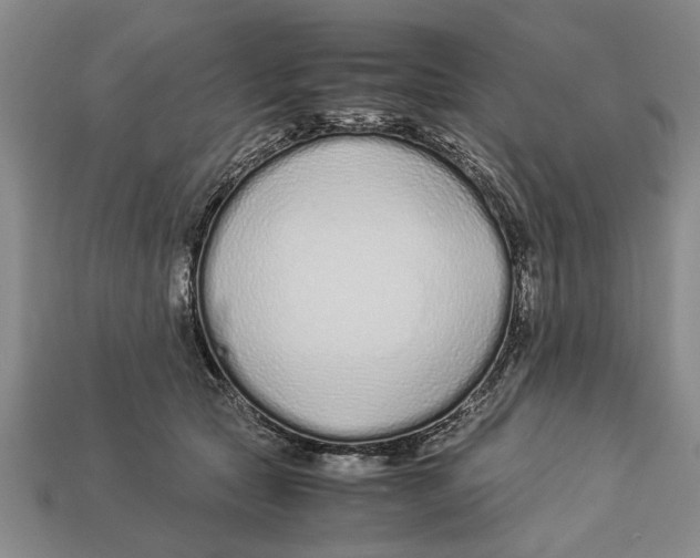 X0000113010561200909241354
