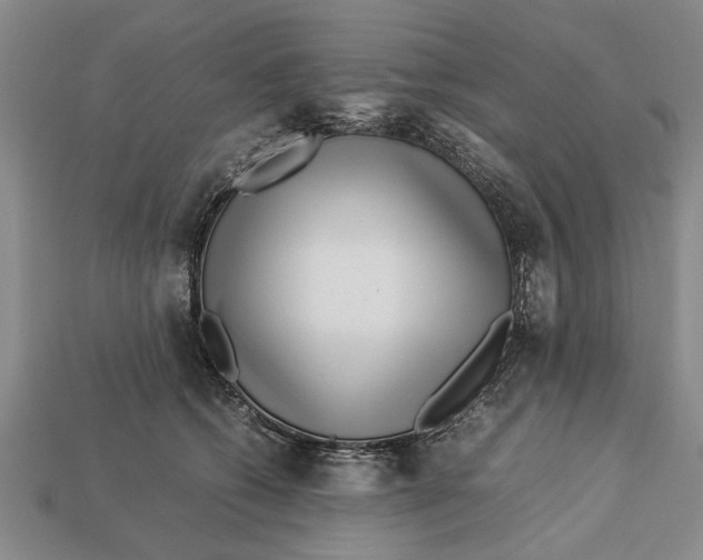 X0000113010562200909241354