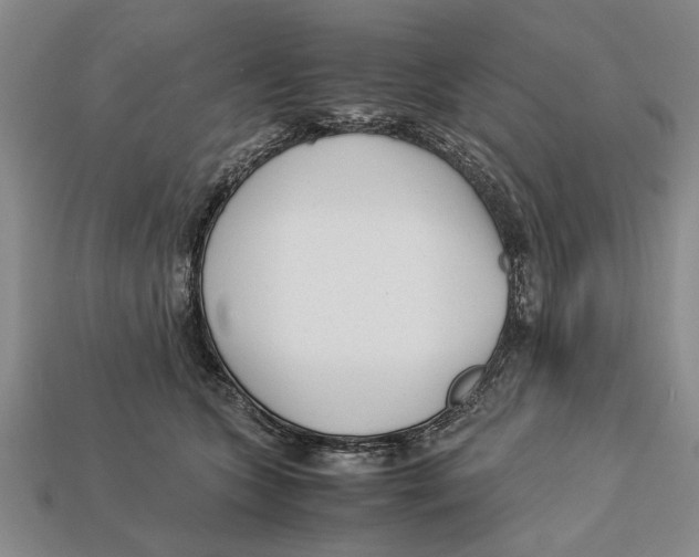 X0000113010563200909241354