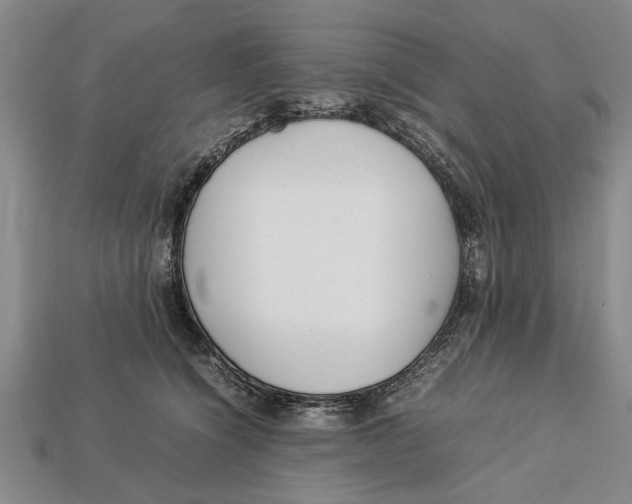 X0000113010564200909241354