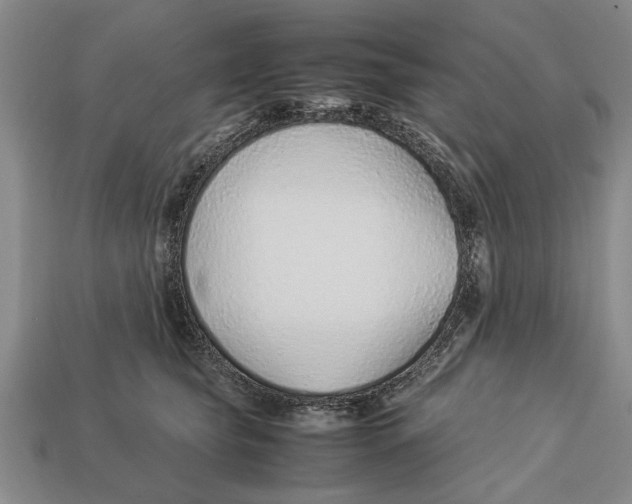 X0000113010565200909241354
