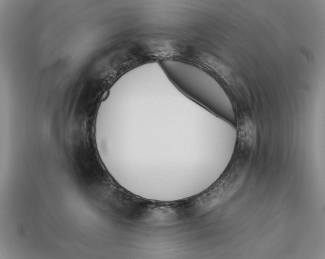 X0000113010572200909241354