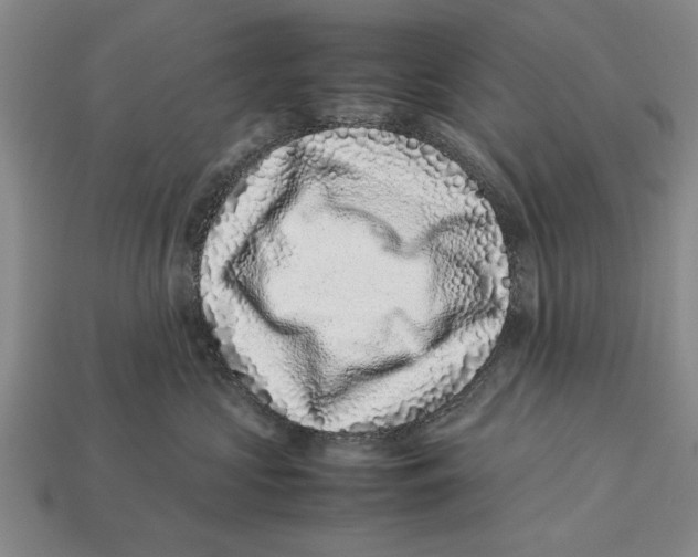 X0000113010573200909241354