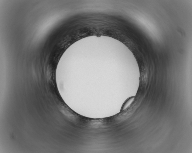 X0000113010574200909241354