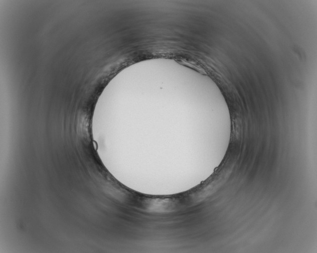 X0000113010575200909241354