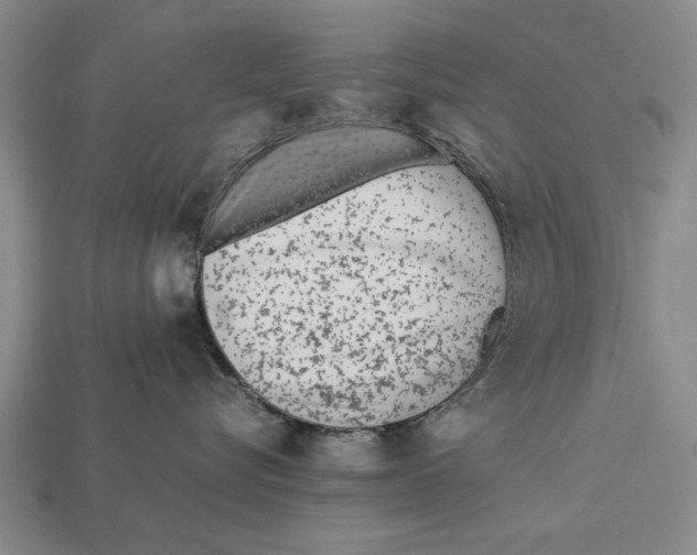 X0000113010576200909241354