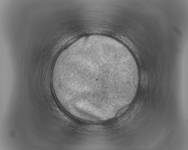 X0000113010577200909241354