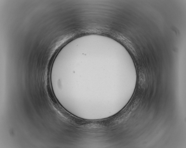 X0000113010578200909241354