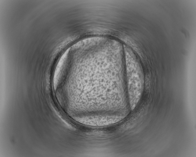 X0000113010581200909241354