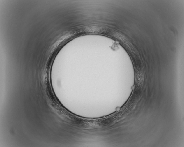 X0000113010583200909241354