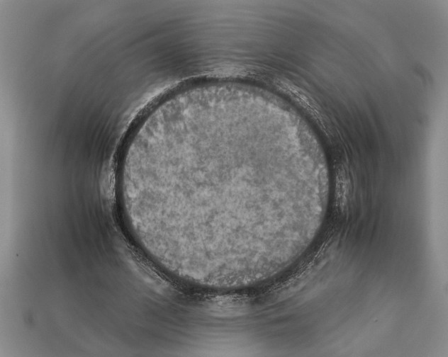X0000113010584200909241354