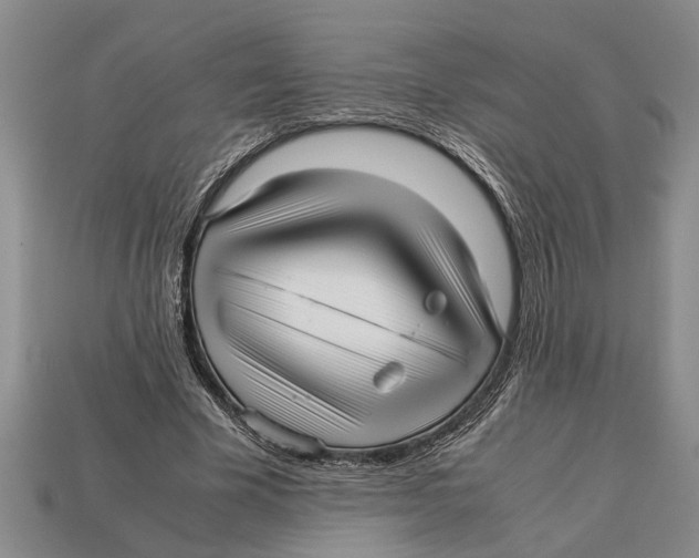 X0000113010585200909241354