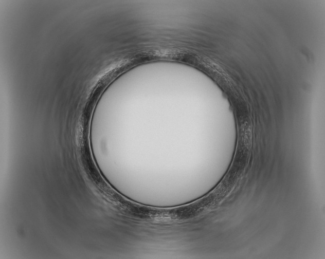 X0000113010587200909241353