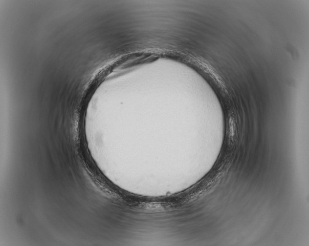 X0000113010588200909241353