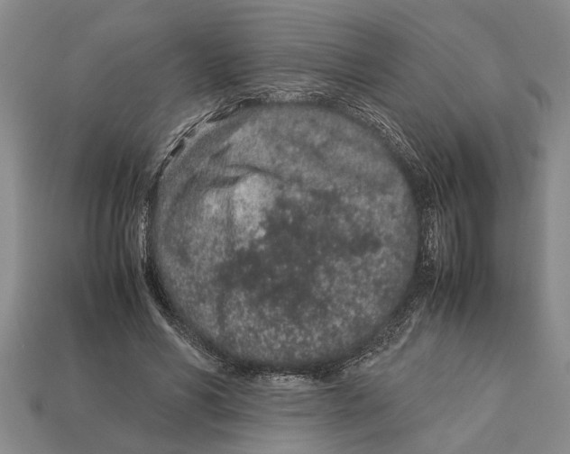 X0000113010590200909241353