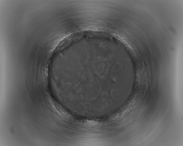 X0000113010592200909241353