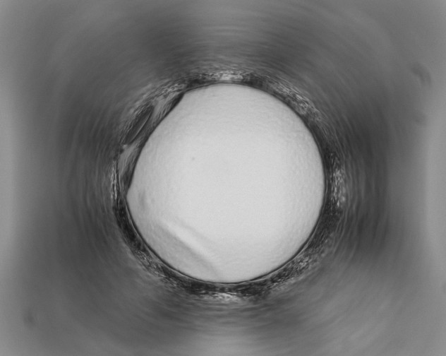 X0000113010594200909241353