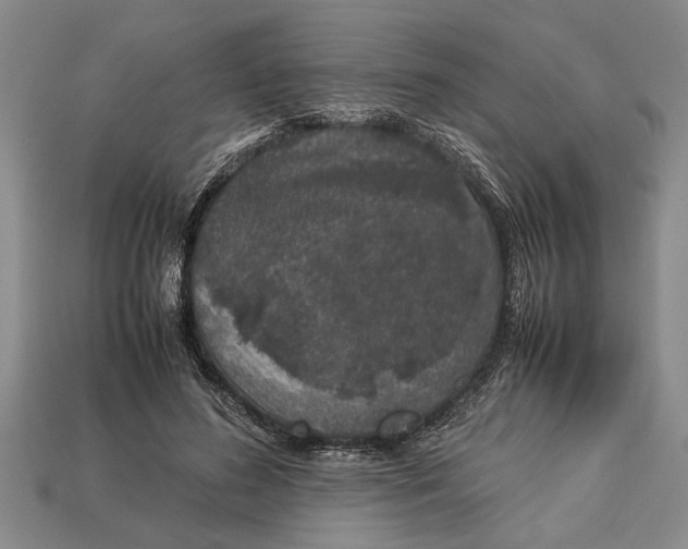 X0000113010596200909241353