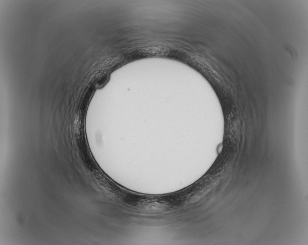 X0000113010597200909241353
