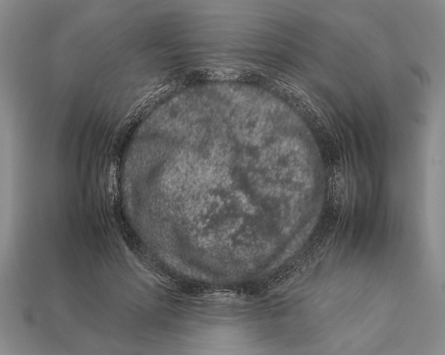 X0000113010598200909241353