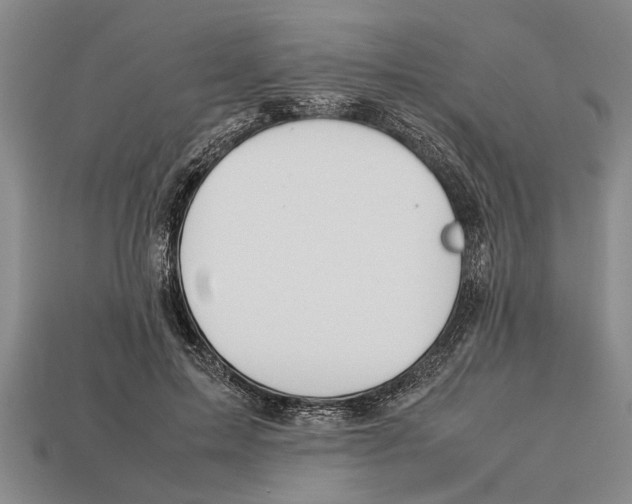 X0000113010599200909241353