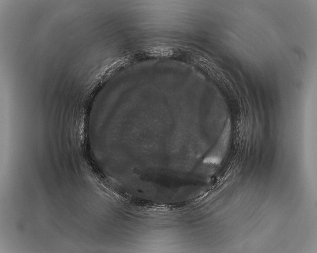 X0000113010600200909241353
