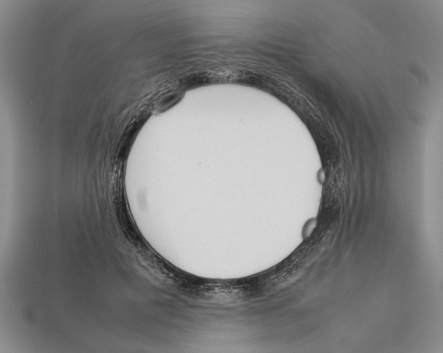 X0000113010601200909241353