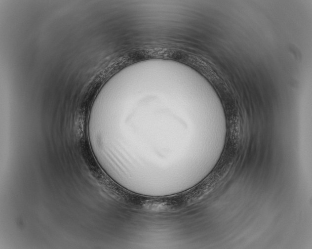 X0000113010602200909241353