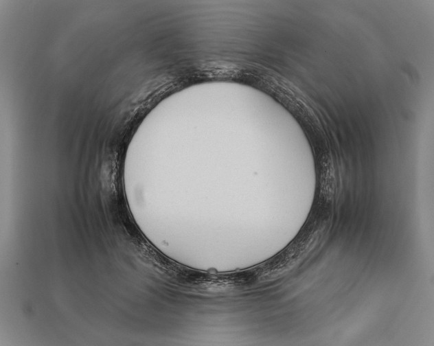 X0000113010604200909241353