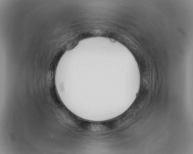 X0000113010605200909241353